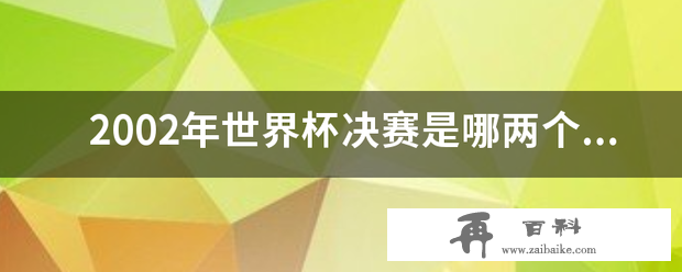 2002年世界杯决赛是哪两个国家，比分多少？？懂得来下