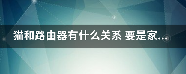 猫和路由器有什么关系