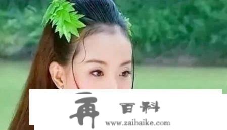 我眼中的古典美人就是王艳