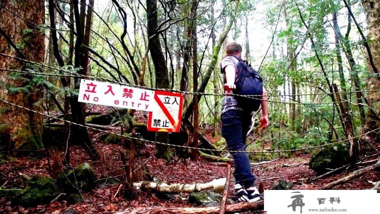 超冷门旅游科普：还喜好日本富士山的浪漫？那一点让你不再想去！