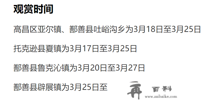 新疆的杏花要开了，从吐鲁番到伊犁的8天7晚，想看杏花能够如许走