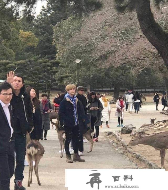 有了女友后，鹿晗整个年假都给了关晓彤，到日本旅游是为了看鹿！