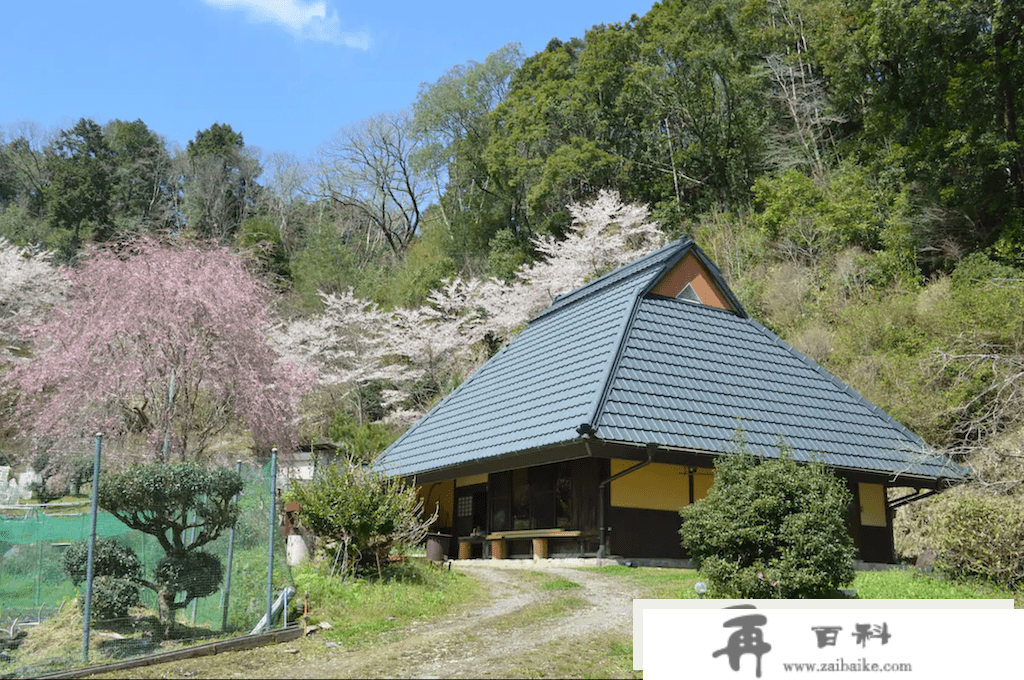 旅游媒体| 爱彼迎带您相逢日本春天的樱花盛宴 |广州旅游媒体