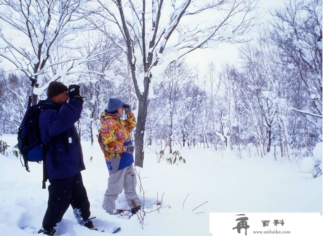 实现旅游的高附加值——日本旅游划时代新课题、新弄法。