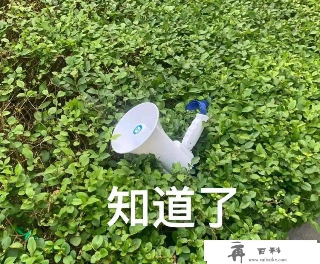 定了！香港通关最新摆设正式发布！预约后当日就能往返