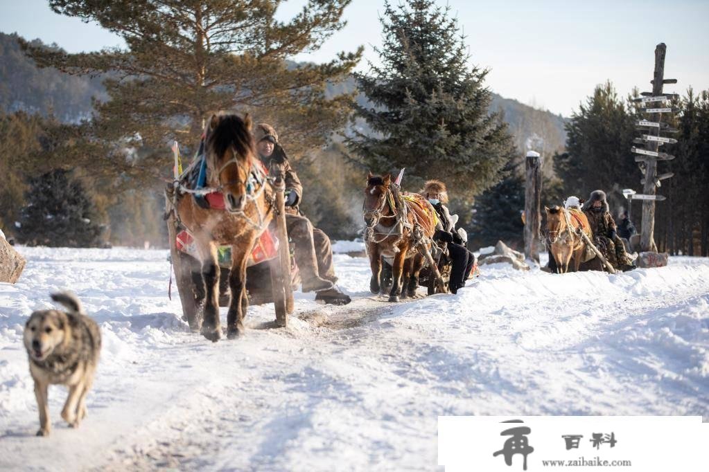 新华全美+｜“神州北极”漠河：冰雪冷资本催生旅游热财产