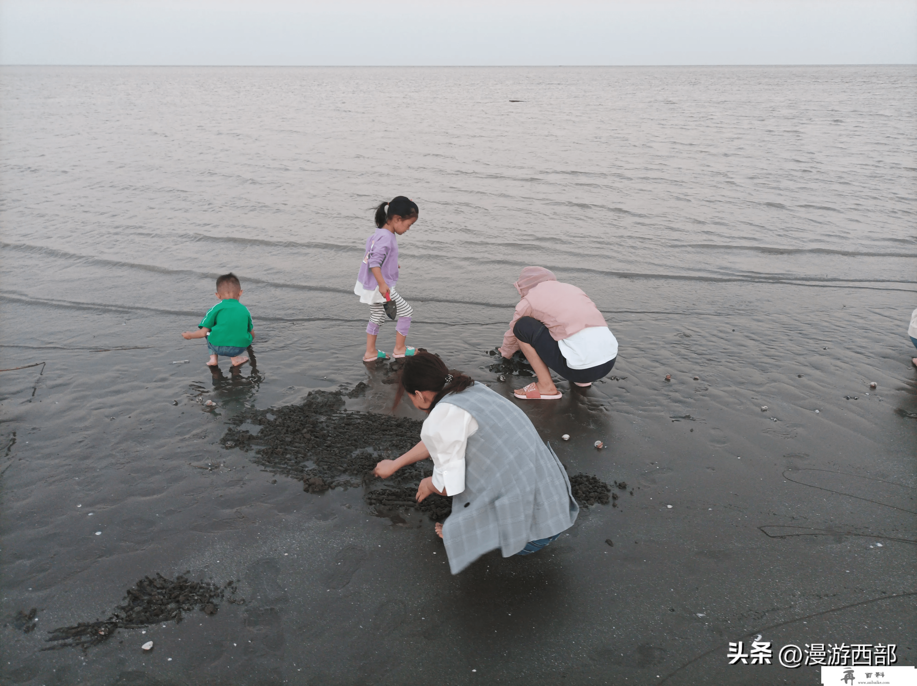 春游踏青，上海周边性价比超高的两日游亲子活动小寡地点攻略