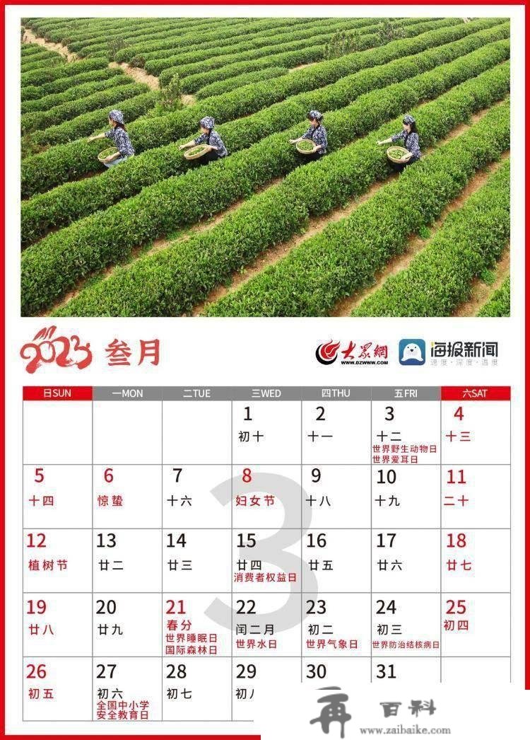 保藏！2023年日照日历来了