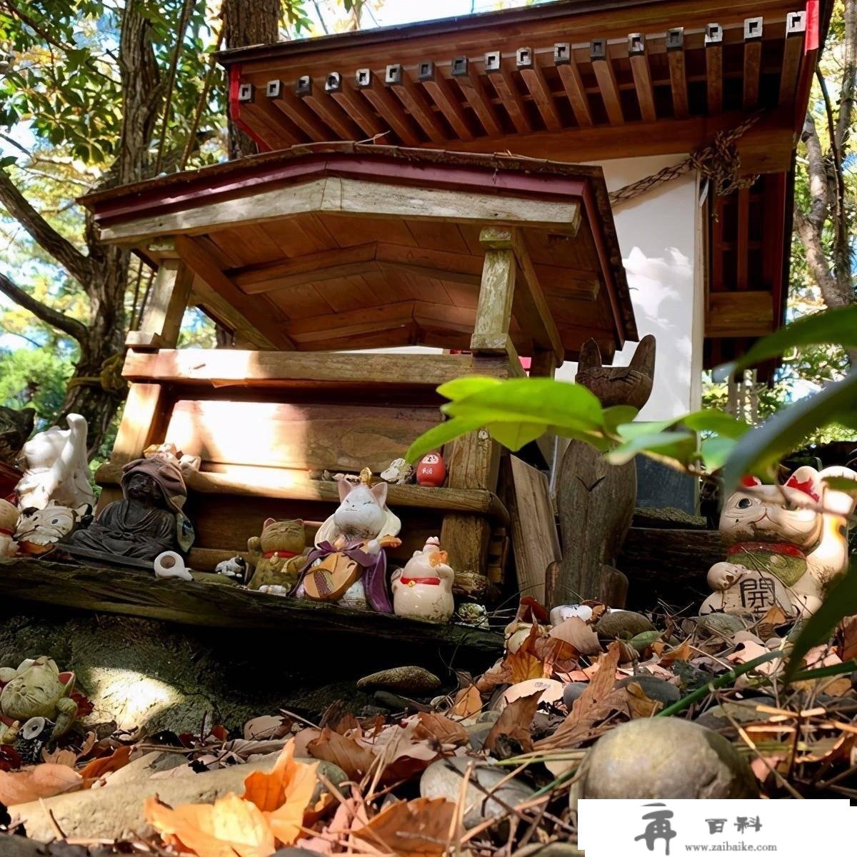 日本出名猫岛，供奉猫奴才的猫神社—田代岛旅游攻略及交通体例