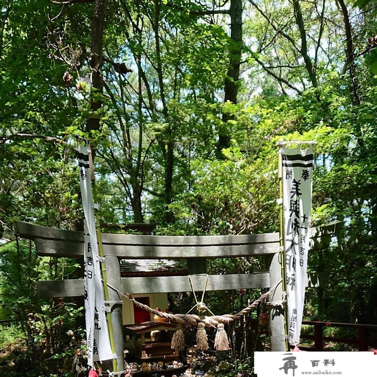 日本出名猫岛，供奉猫奴才的猫神社—田代岛旅游攻略及交通体例