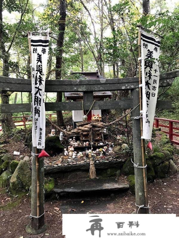 日本出名猫岛，供奉猫奴才的猫神社—田代岛旅游攻略及交通体例