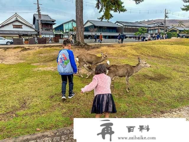 日本奈良东大寺，全世界现存更大的木构建筑，1200年的唐风遗韵