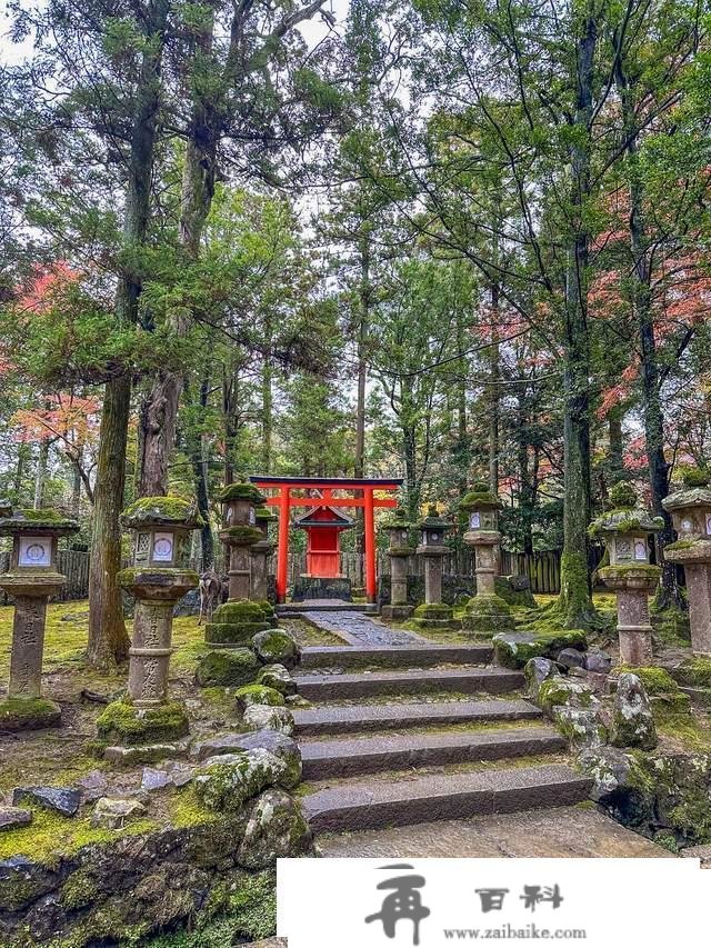 日本奈良东大寺，全世界现存更大的木构建筑，1200年的唐风遗韵