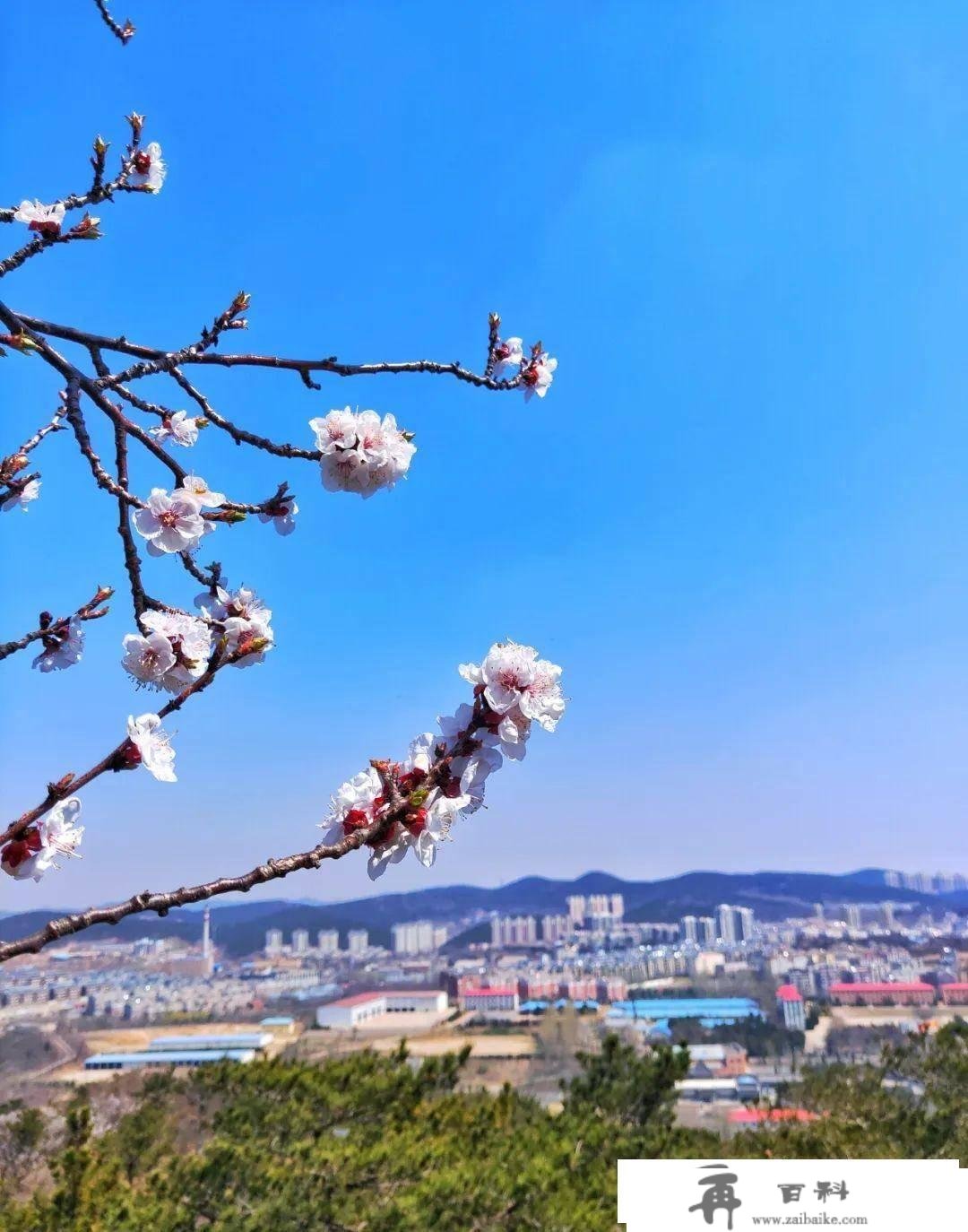 旅顺白玉山景区，比光景更重要的是汗青