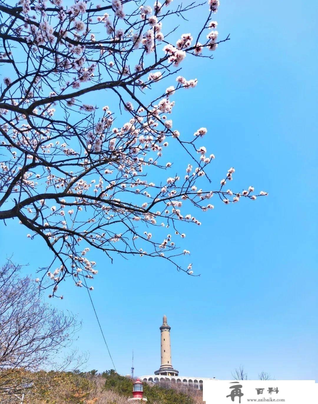 旅顺白玉山景区，比光景更重要的是汗青