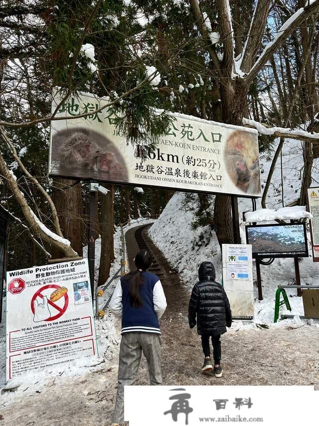 世界上独一泡温泉的山公，日当地狱谷，以“雪猴”闻名的参观地