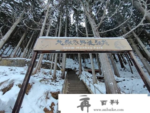 世界上独一泡温泉的山公，日当地狱谷，以“雪猴”闻名的参观地