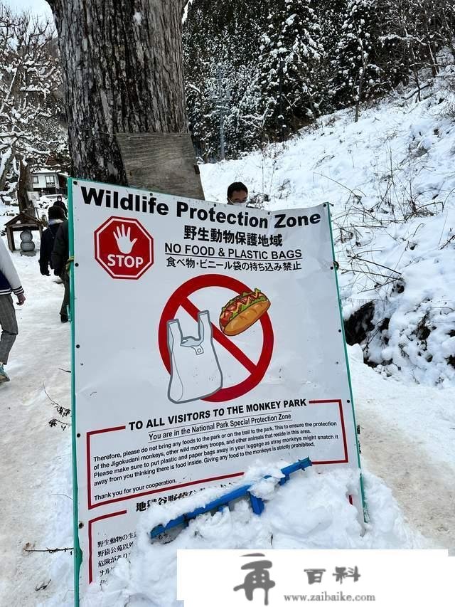 世界上独一泡温泉的山公，日当地狱谷，以“雪猴”闻名的参观地