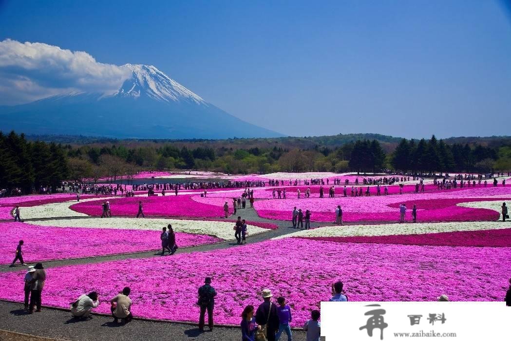 富山之味·山梨光阴琼浆美食烙印山梨特色 助力山梨文旅市场苏醒