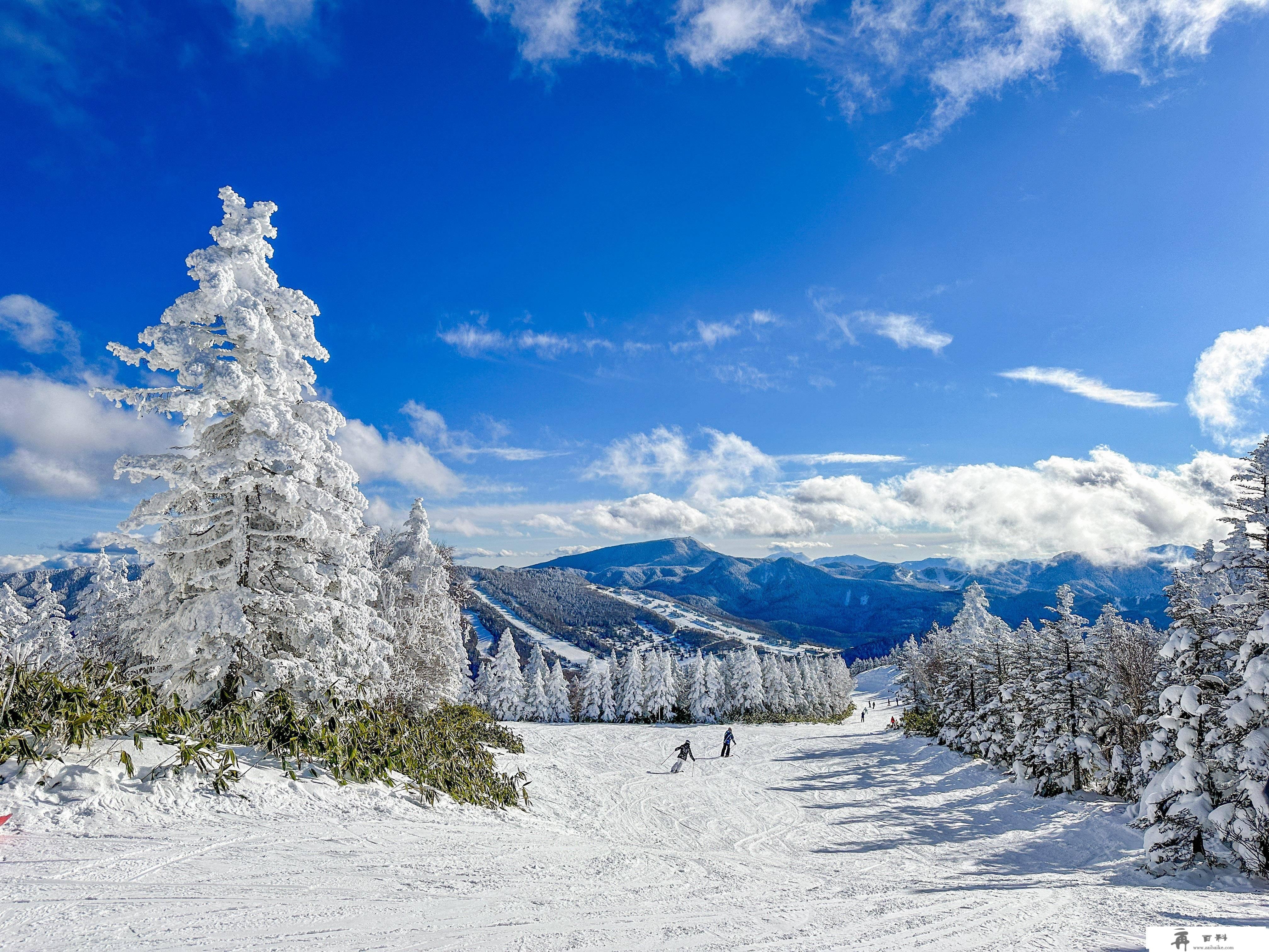 日本更大的滑雪度假胜地，长野志贺高原，曾是冬奧会的主办地