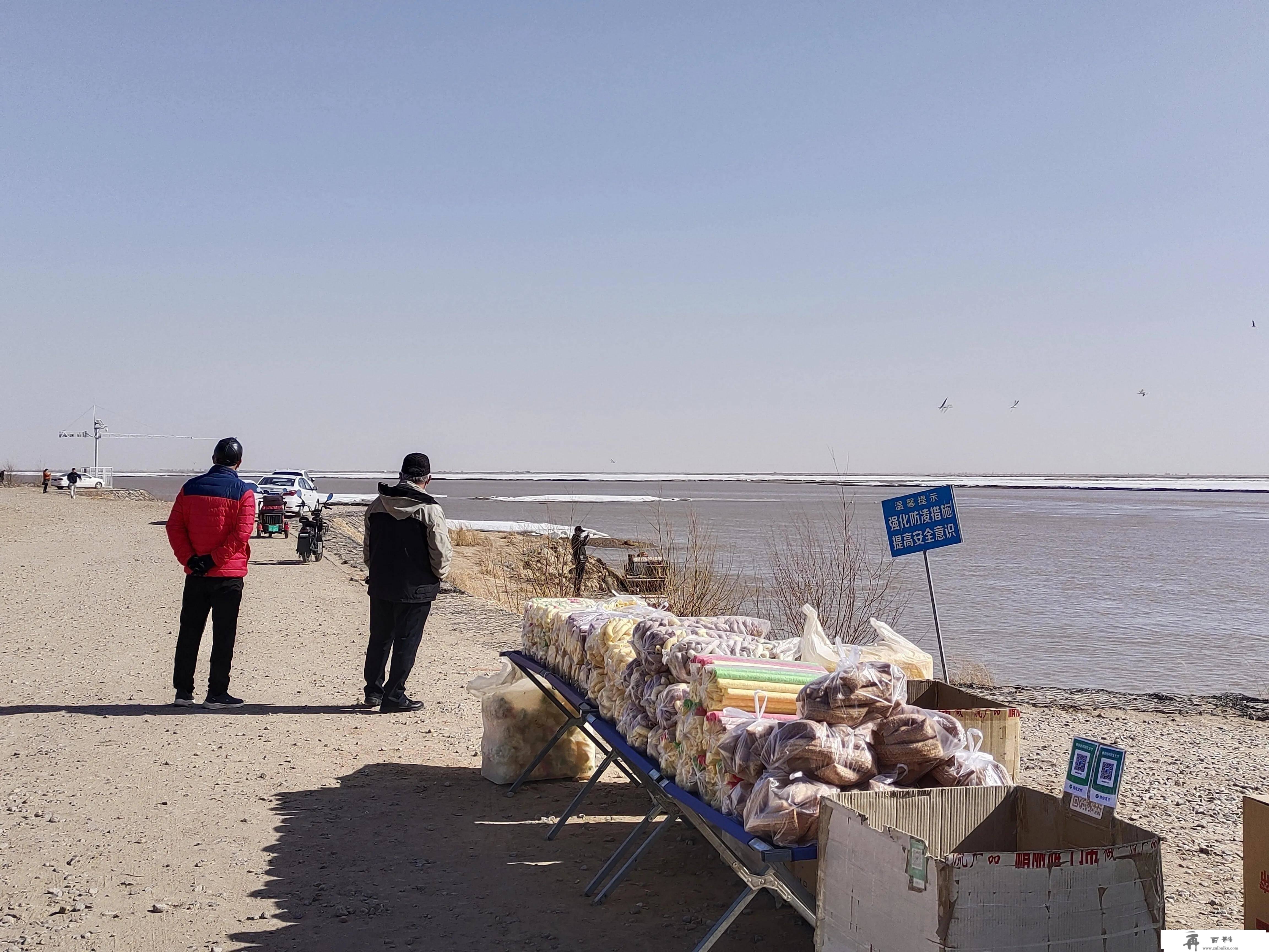 小小老苍生专门跑去看黄河，爱旅游，爱垂钓？我可不是为了那