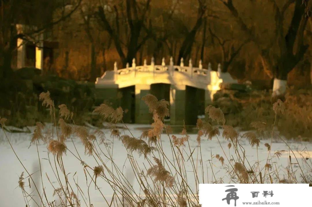 北大祝你新春快乐 | 高校新春送祝愿①