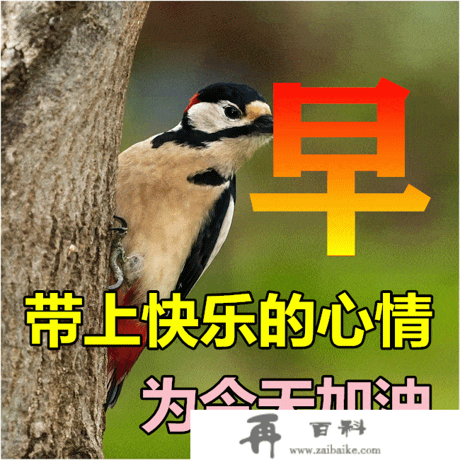 ​3月17日最标致早上好动态脸色图片大全及早晨好动图美图大全 无言是一种境界