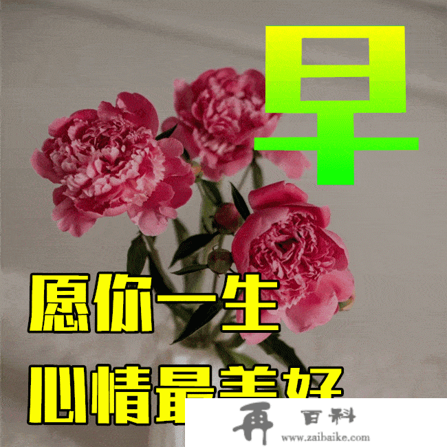 2月10日春天早上好祝愿语图片及问候动态脸色图片大全！