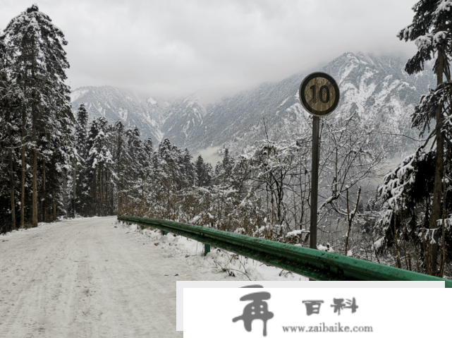 成都周边一处天然费雪秘境 都江堰龙池国度丛林公园开门了吗