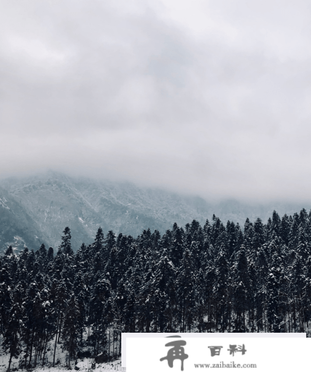 成都周边一处天然费雪秘境 都江堰龙池国度丛林公园开门了吗