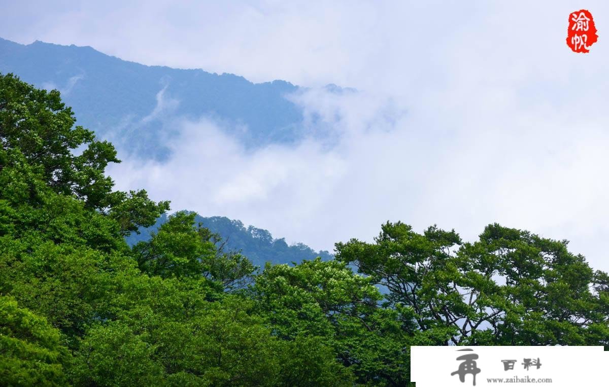 重庆广东自驾游第二日：登山5小时，我们却游了一座假的梵净山