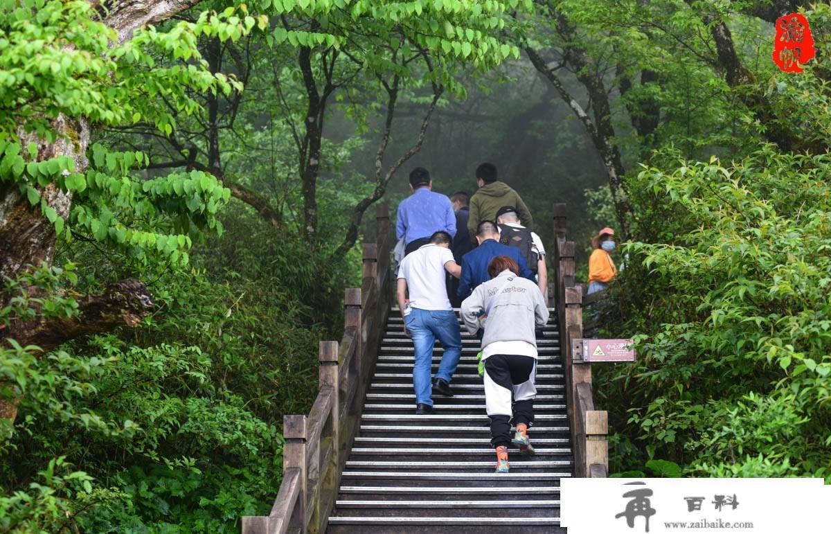 重庆广东自驾游第二日：登山5小时，我们却游了一座假的梵净山