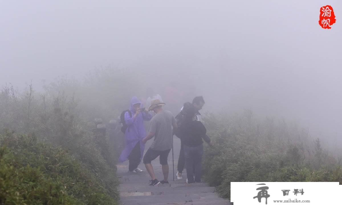 重庆广东自驾游第二日：登山5小时，我们却游了一座假的梵净山