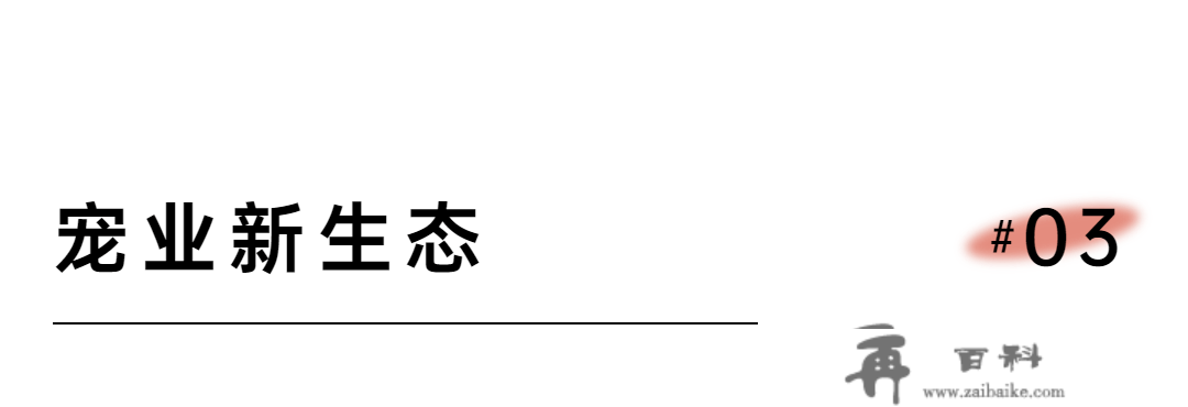 官宣｜第十一届天一成都宠博会定档2023年5月25-28日！