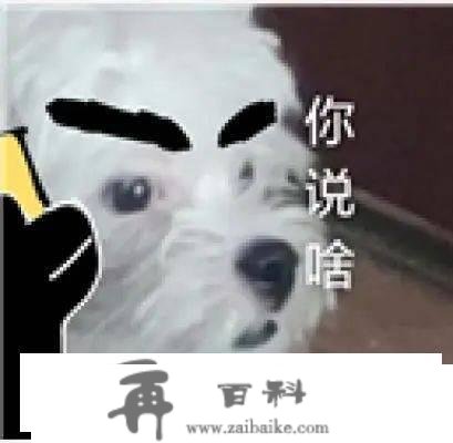 提早预约！深圳仙湖动物园元宵门票开售！能够开车前去吗？