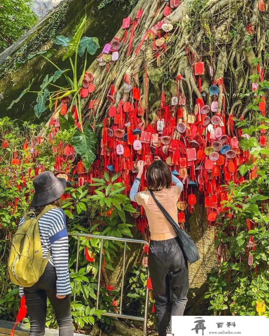 过年想去寺庙祈福求签？深圳那六大“祈福圣地”等你来~