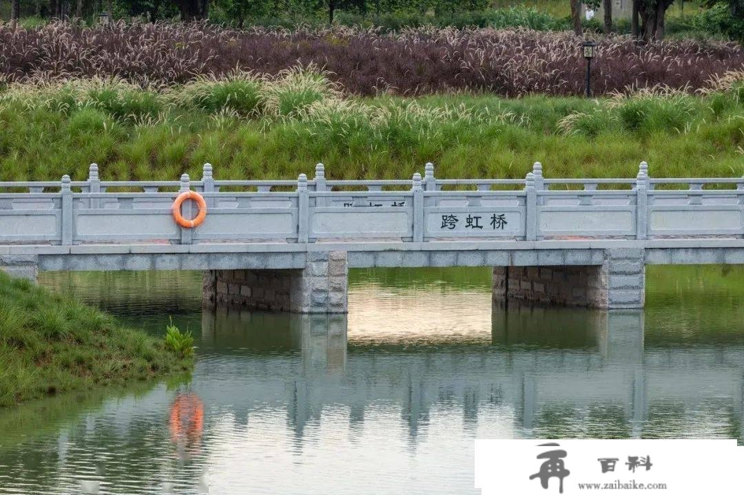 春节假期在深圳去哪玩？那些处所值得一去！典范小寡全都有