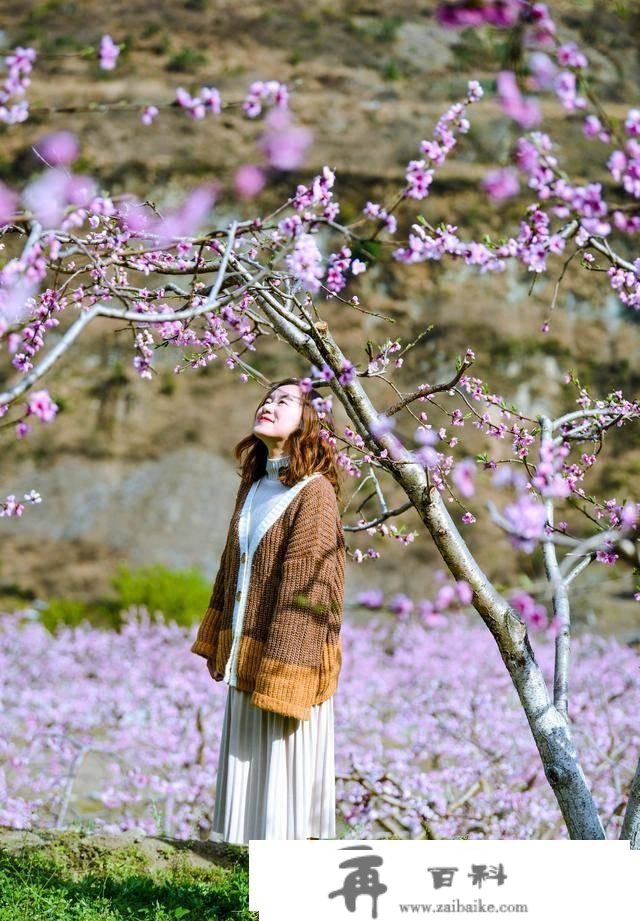 不消去林芝，成都周边也有大片高原花海！