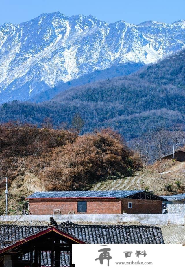 不消去林芝，成都周边也有大片高原花海！