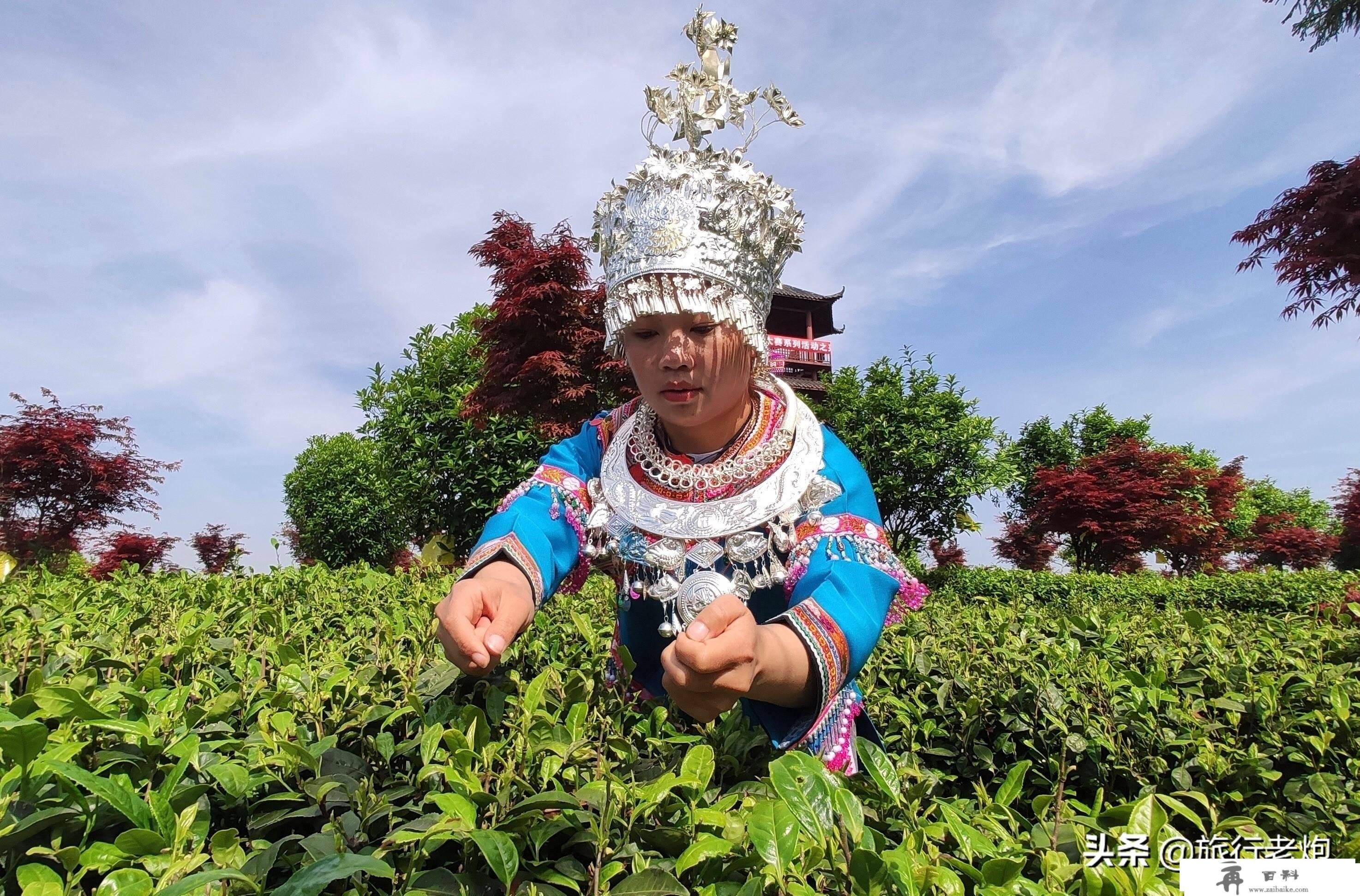 红枫湖自驾赏樱花线路，平坝的樱花开起来后，小寡打卡点就在那里