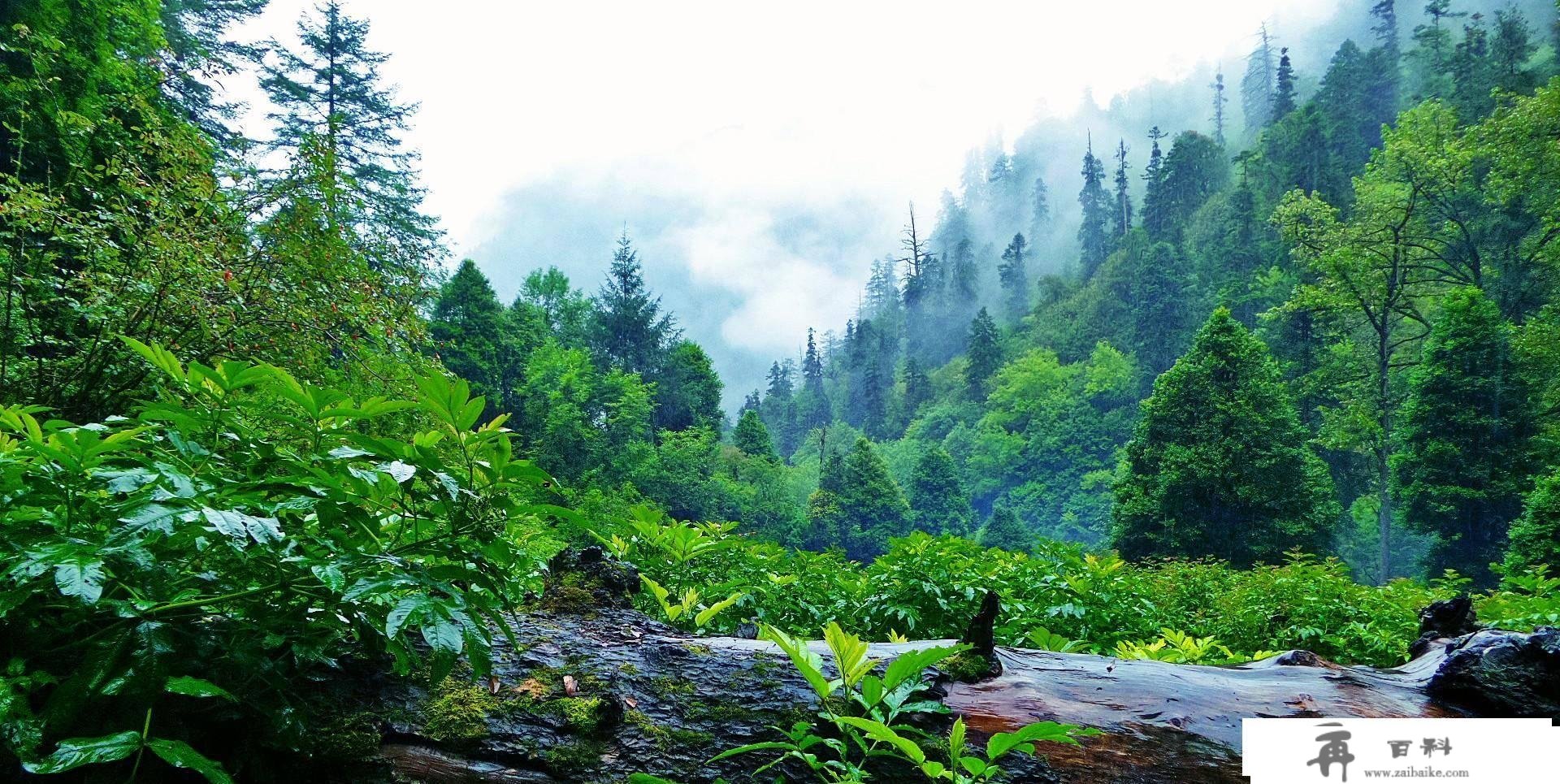 梅里雪山-迄今未被人类征服的雪山，8天徒步转山故事