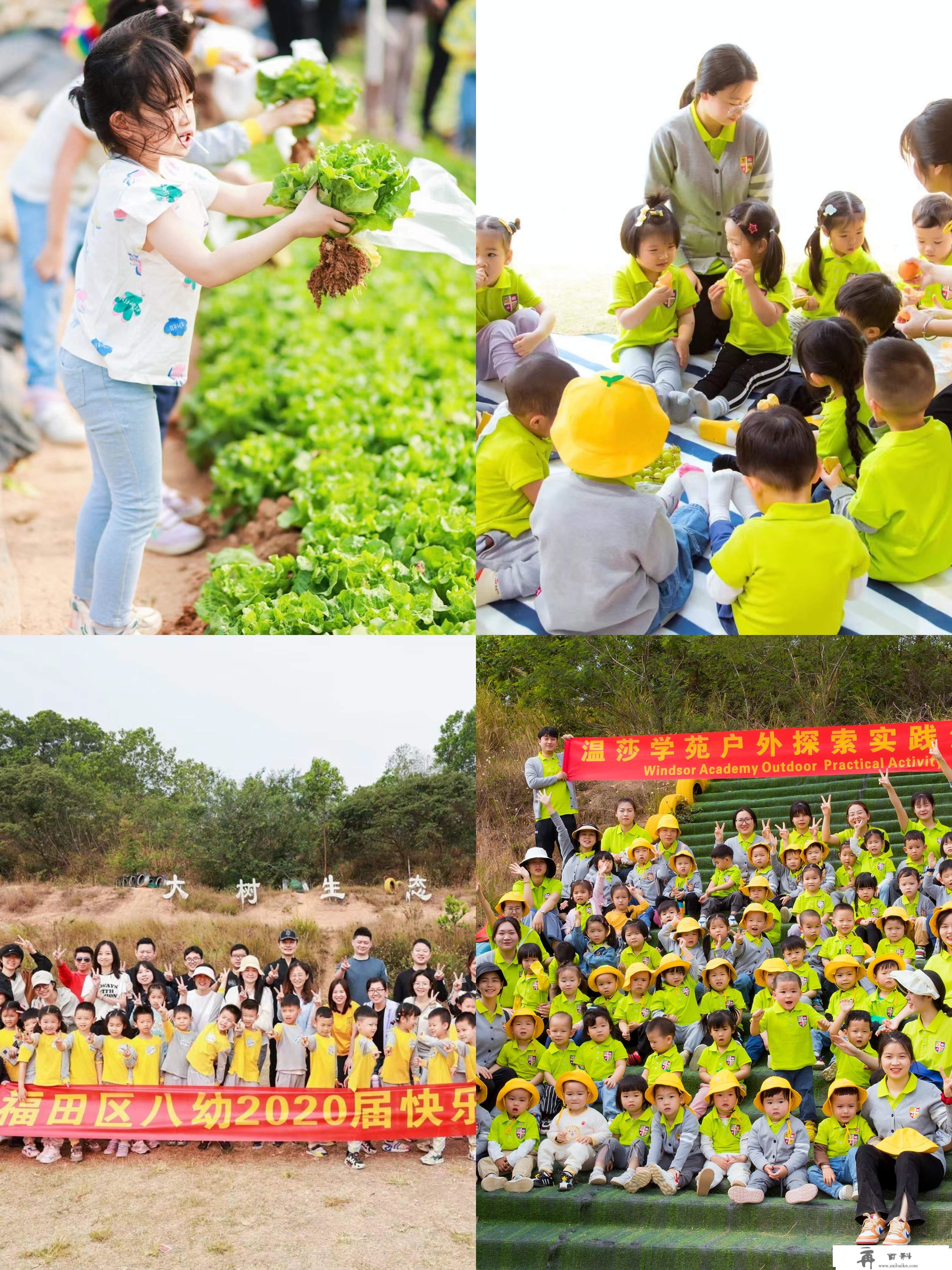 深圳农家乐|野炊+烧烤+垂钓+采摘|深圳周边一日游|