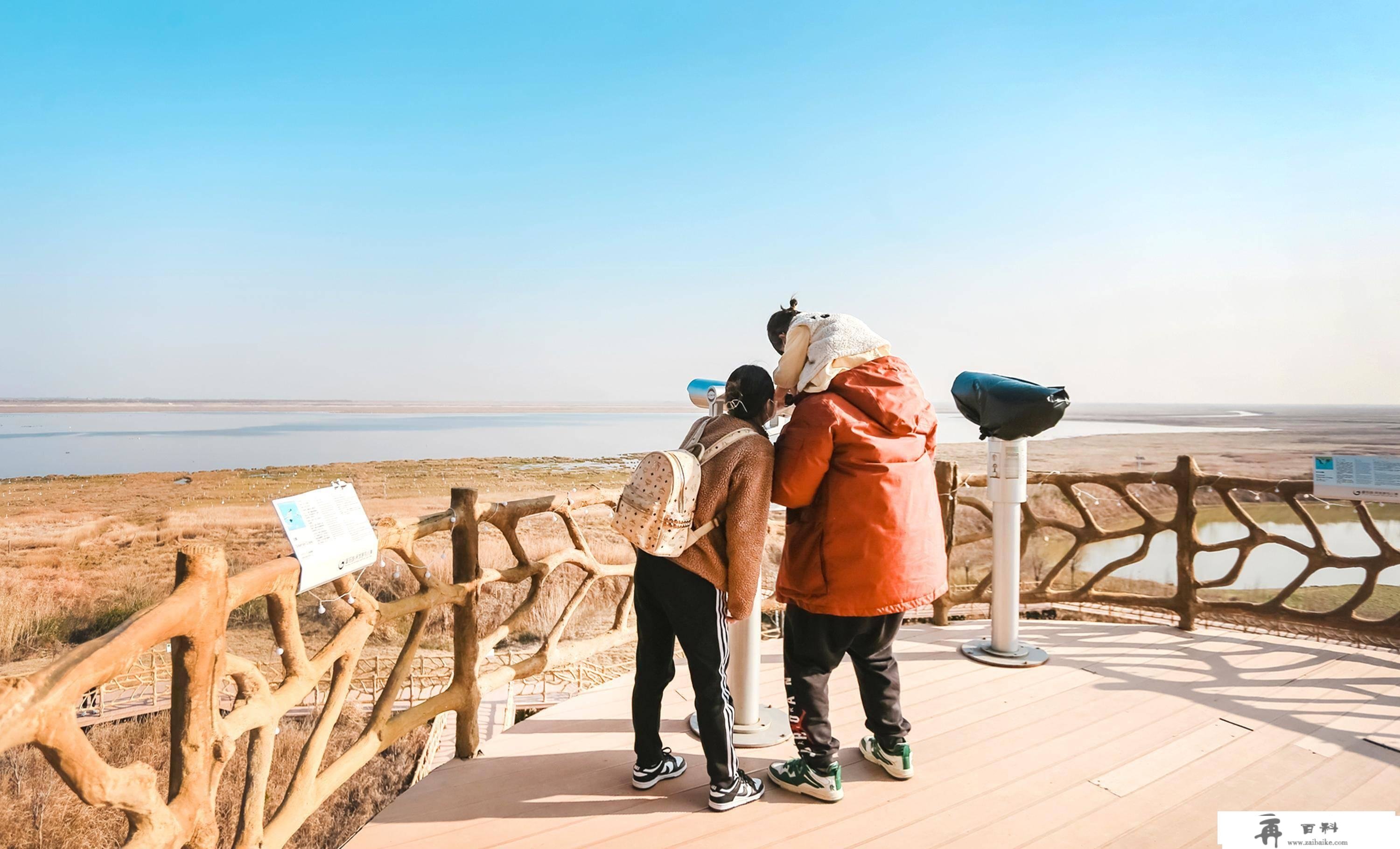 南昌九江周边一日游｜鄱阳湖吴城不雅鸟旅游攻略