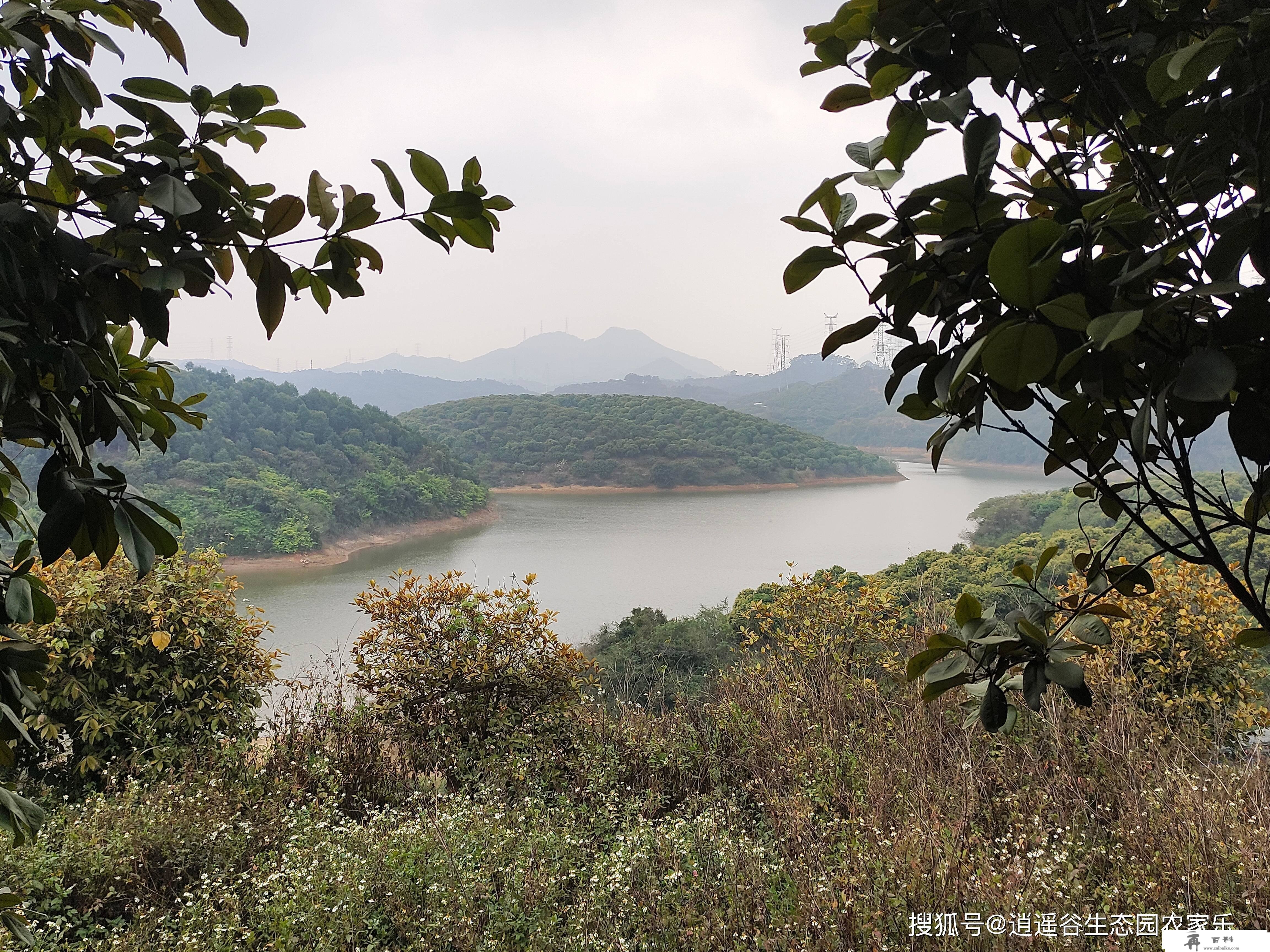 春暖花开季，恰是团建时！深圳东莞周边农家乐一日游保举