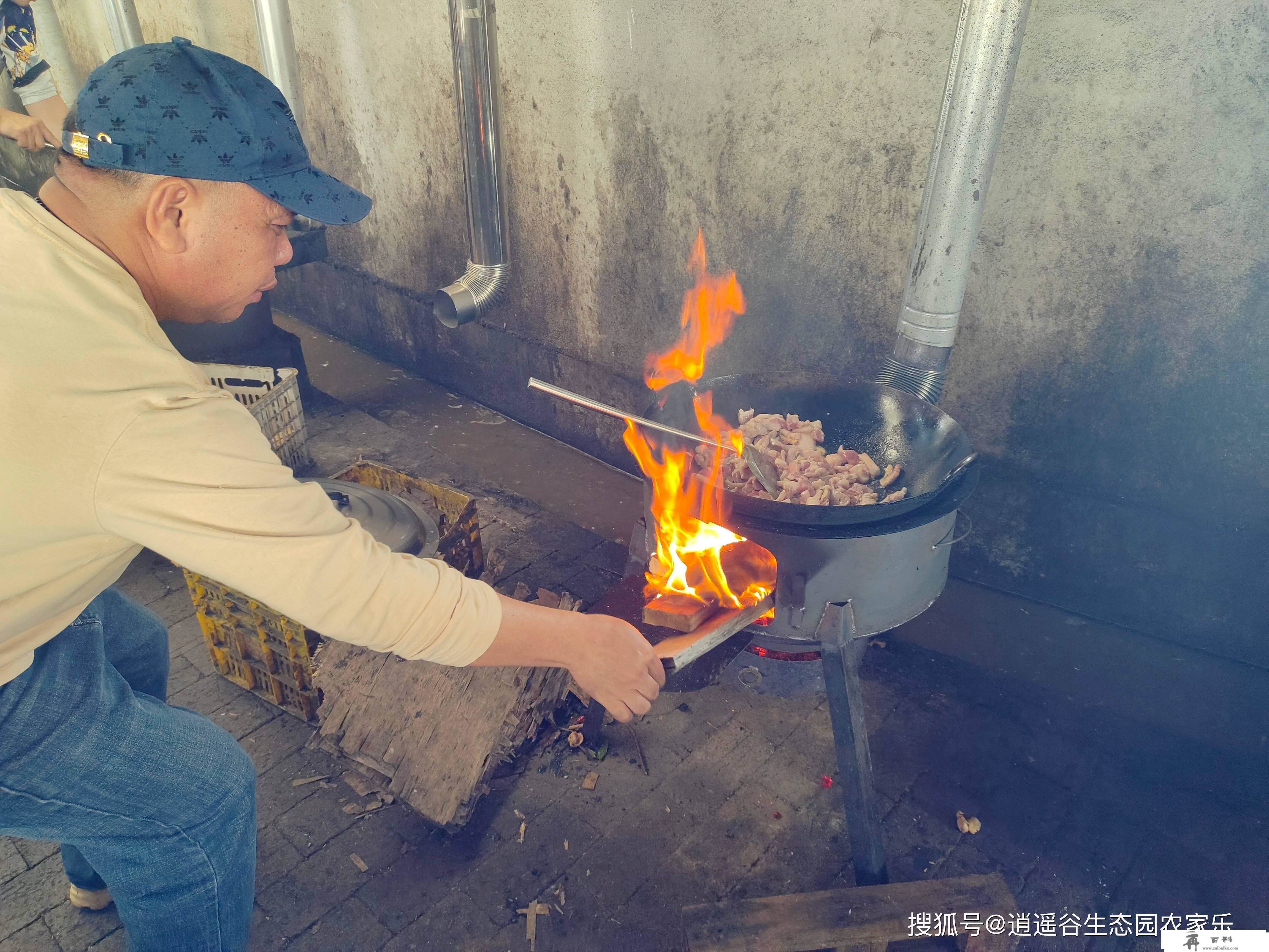 莞深周边农家乐一日游保举，野炊烧烤BBQ乐翻天~