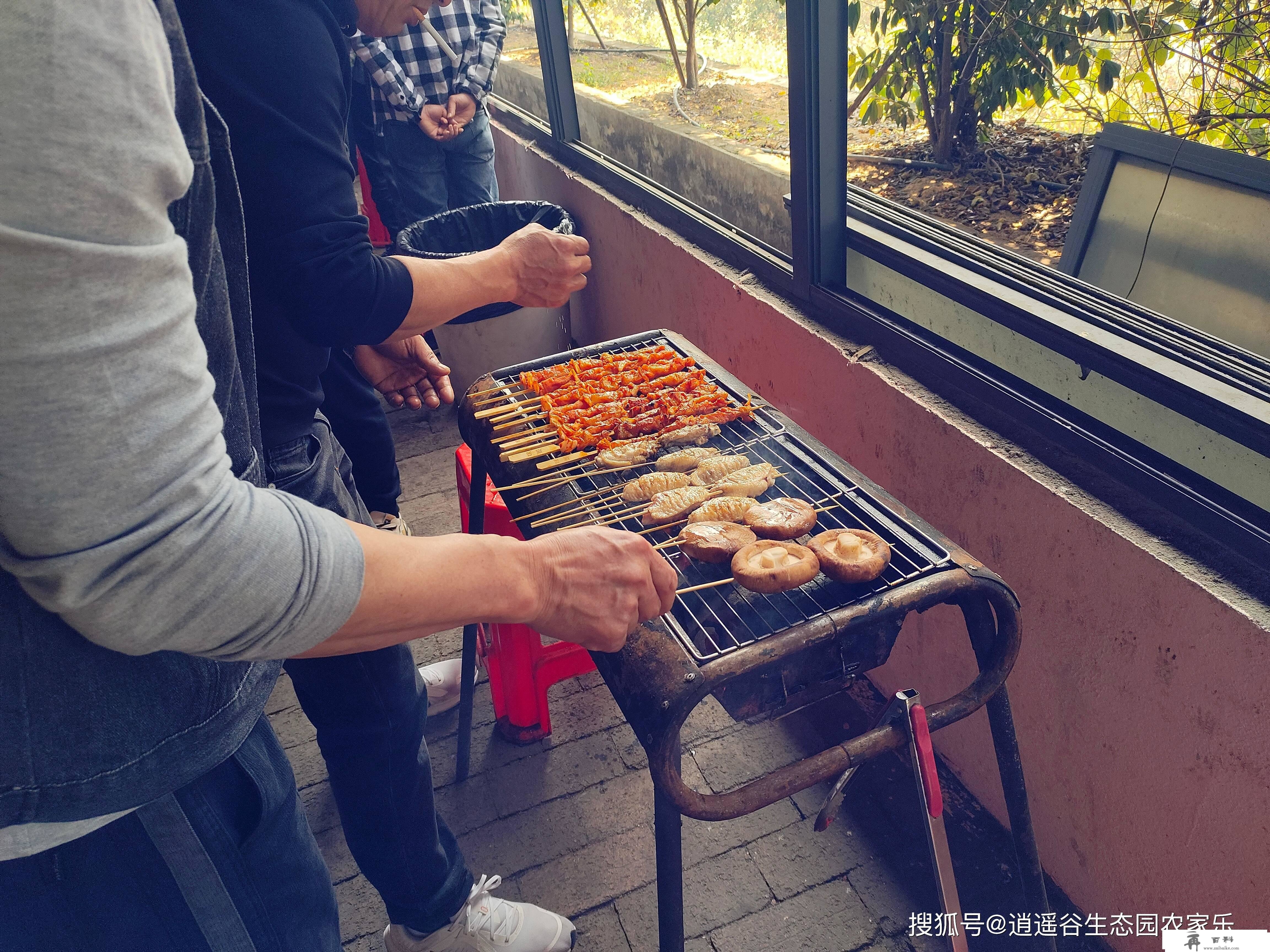 莞深周边农家乐一日游保举，野炊烧烤BBQ乐翻天~