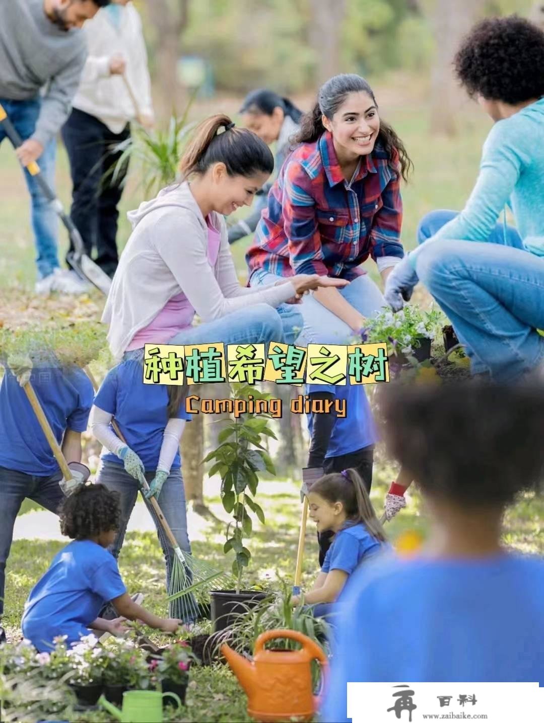 上海植树节公益活动筹谋 植树一日游