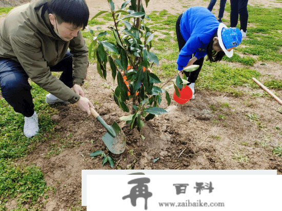 上海亲子活动去哪玩长兴岛桔园农庄凉帽涂鸦植树一日游