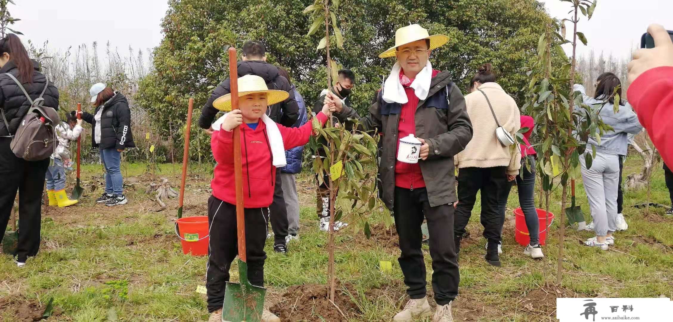 上海亲子活动去哪玩长兴岛桔园农庄凉帽涂鸦植树一日游