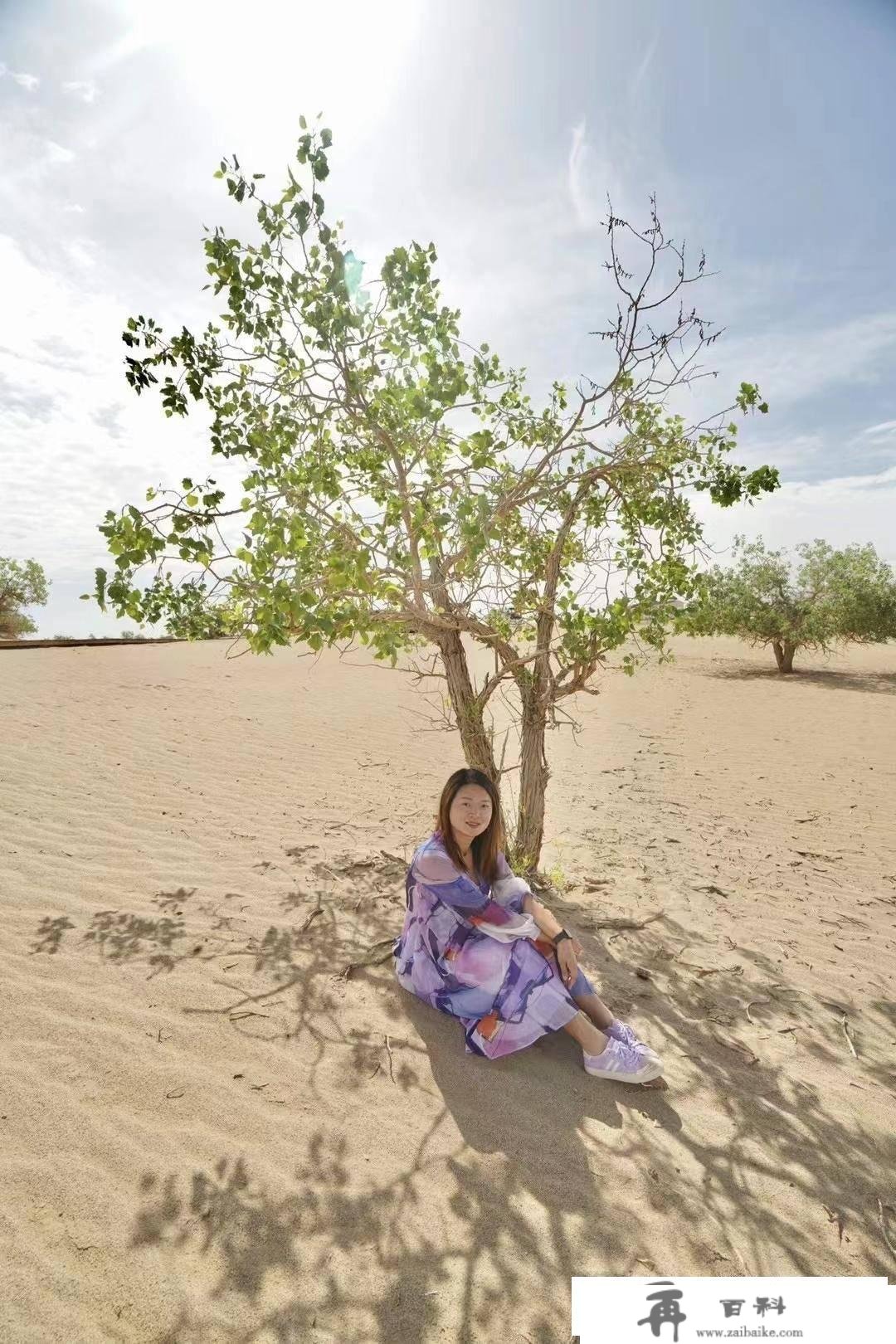 格尔木行，印象最深的是全球海拔更高的胡杨林，夏季里的风光差别